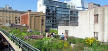 USA: Otwarto kolejny odcinek High Line - parku na wiaduktach